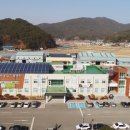 고성동물병원 이미지