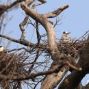 우리보금자리 이미지