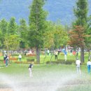 찬 스크린 골프 이미지