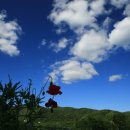 바람이 머무는 곳 이미지