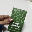 퍼피케어 | 강아지 관절·근육 케어 메디퍼피 액티브M 영양제 체험 후기
