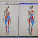 바른몸 앤 필라테스 이미지