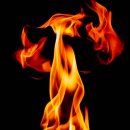 피노키오 | 넷플릭스 영화&lt;기예르모 델토로의 피노키오&gt; 후기 - 순간과 영원함