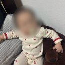 백억축산 - 당진시 원당로 51 | [일상] 안녕하세요호아입니다잘부탁드립니다