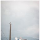 마도횟집 이미지