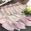 반고개네거리 대자연수족관앞 | 반고개역 횟집 추천｜스끼다시부터 만족스러웠던 어선당 솔직후기