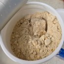 리앤핏 | 다이어트 단백질 쉐이크 내돈내산 리앤핏 후기 포만감 맛 어떤가요