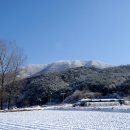 금강송 생태경영림 이미지