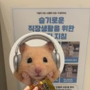 김햄찌 팝업스토어 후기 (1) | 현장 대기, 팝업스토어 내부 모습