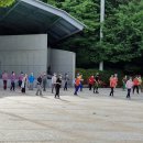 건강라인댄스 이미지