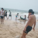 대천해수욕장 이미지