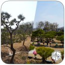 지수목장 이미지