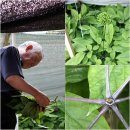 주덕농장 이미지