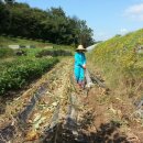 주암농장 이미지