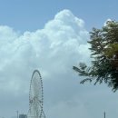 나산 5일시장 내 | <베트남 다낭 3박5일 가족여행 후기 1탄> 한시장 먹거리, 볼거리, 쉴거리 3종 모음 #코바포보 #한시장...