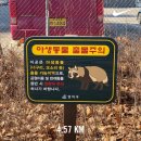 [2말3초/21] 정리하고, 또 정리하고.