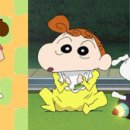 파트라슈 이미지