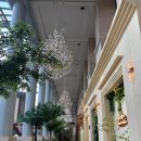 메종드상상 | [웨딩홀] 대전 메종드보네르 계약 후기🩷