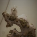 부천수석박물관 이미지