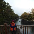 제주도 [ 쇠소깍 &amp; 표선 해수욕장 ] 이미지