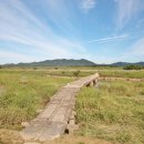 함평 고막천석교 이미지