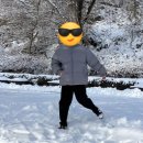용문사 소장 목조석가여래좌상 | 양평 용문사 눈내리는 설산 설날 명절 용문사 절 탐방기