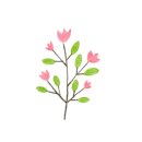 갸또디솔레 이미지