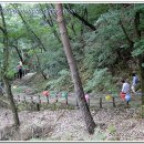 삼천궁녀 - 칠곡군 북중리2길 40 | 삼천궁녀