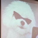 완도찜 | 신설동역맛집 바다수심3미터 내돈내산 후기｜완도산 광어 우럭 가리비찜 맛집