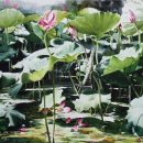 바래길작은미술관 이미지