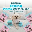 덴탈뷰 | 구강관리와 노즈워크를 동시에! 강아지 장난감 덴티멀 덴탈몬스터 푸카 활용기