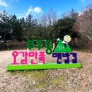 목포부주초등학교 | 목포황토맨발길, 부주동초당산