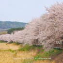 세븐일레븐대천신광장점