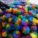 국제문화교류관 야외정원 이미지