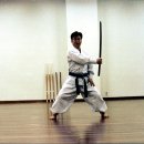 심검도
