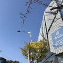 터미널14번길 이미지