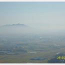 두동편백마을 이미지