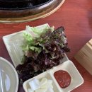 효춘천닭갈비본점 | [강원/춘천/맛집] 춘천여행 1.5닭갈비 본점 추천 후기(주말 점심 방문 후기)