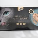 캔무드 이미지