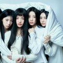 쩐스포츠 이미지