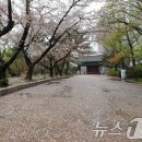 1163 | 사랑 명상 1163