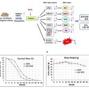 메디언스㈜ 이미지