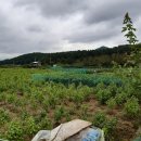 방동 농장2 이미지