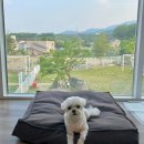 설악의 정원 이미지