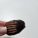 팡더레체 이미지