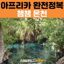 협동농장 | 다양하게 맛보고 즐기는 모시 투어 #3 마테루니 폭포&amp;커피농장&amp;챔챔온천 아프리카 여행