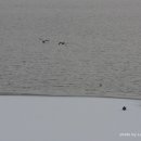 강가의 추억 이미지