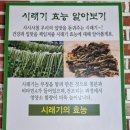 구쁘다코다리 네이버블로그