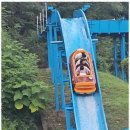 참사랑태권도 이미지