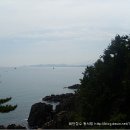 새천년도로 Daum카페